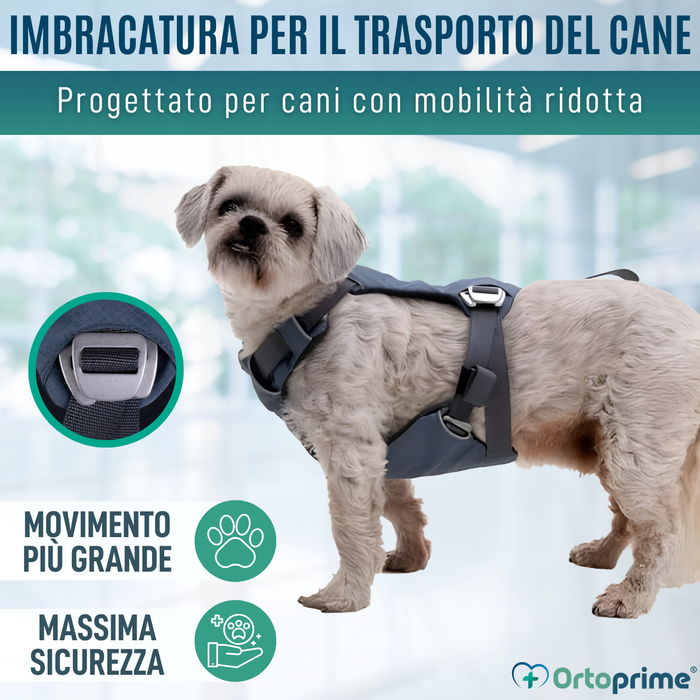 Imbracatura di Sicurezza per Trasporto Canino | Alta Resistenza