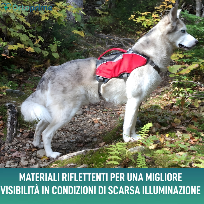 Imbracatura per Cani da Soccorso | Alta Resistenza