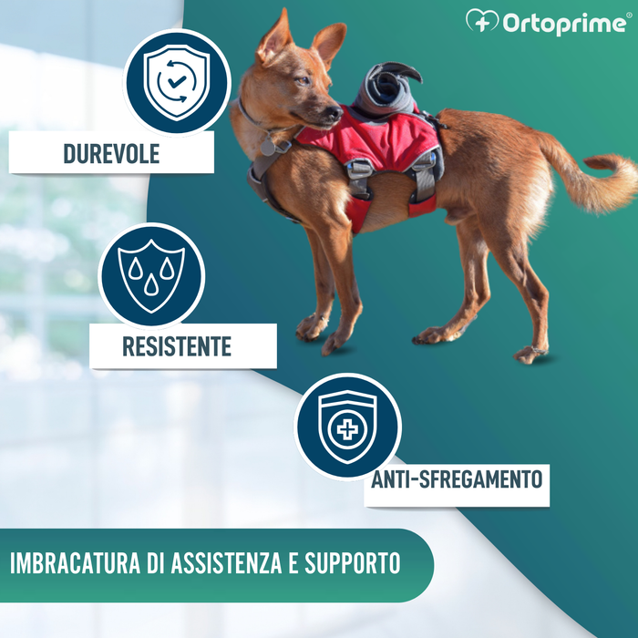 Imbracatura per Cani da Soccorso | Alta Resistenza