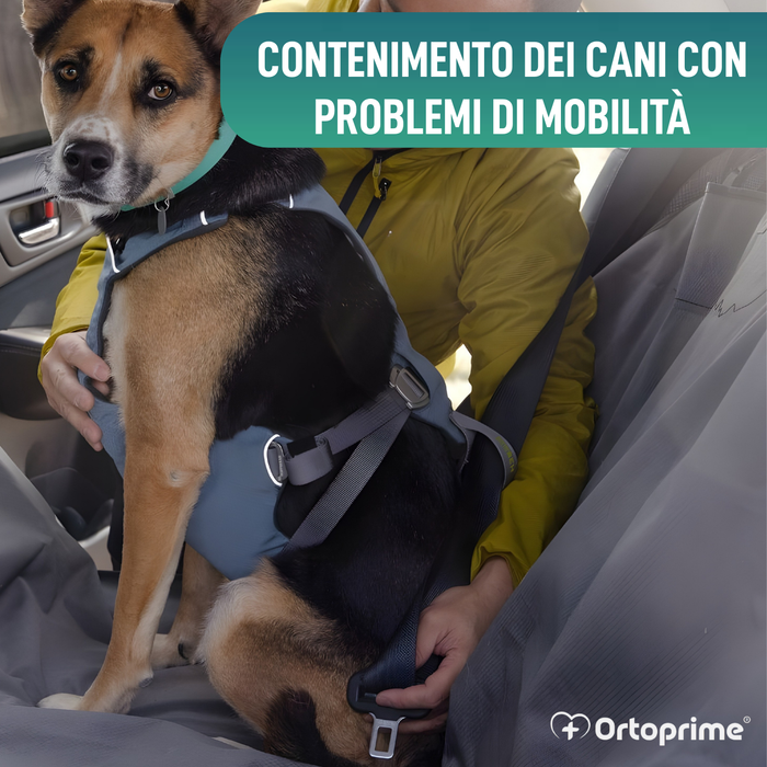 Imbracatura di Sicurezza per Trasporto Canino | Alta Resistenza