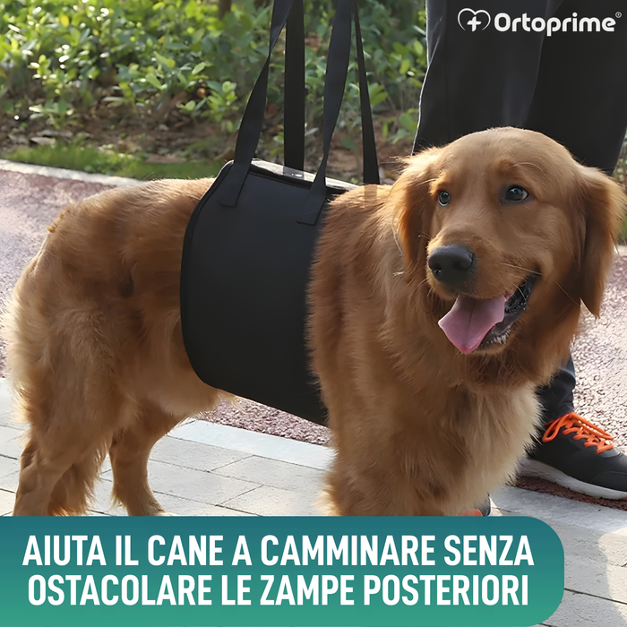 Fascia di Supporto per Cani con Mobilità Ridotta | 5 Taglie