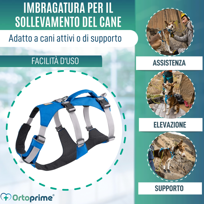 Imbracatura Canina Multiuso per Sollevamento | Struttura Robusta