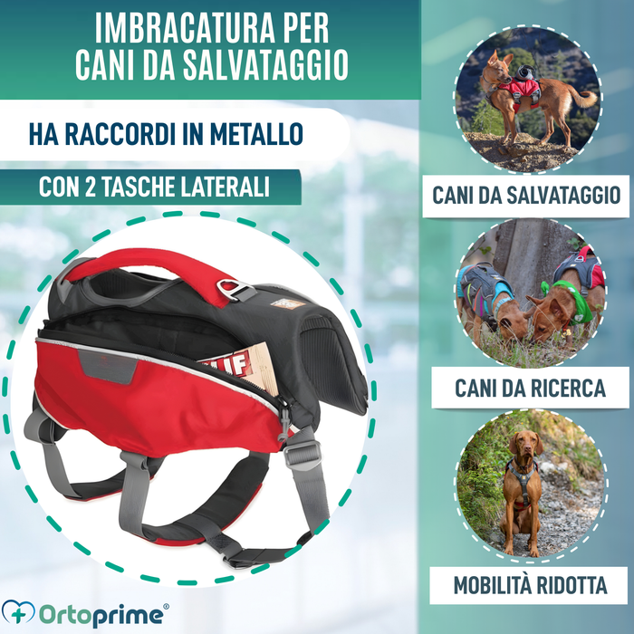 Imbracatura per Cani da Soccorso | Alta Resistenza