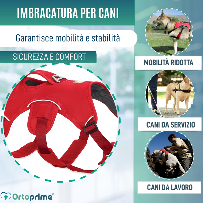 Imbracatura di Supporto per Cani da Servizio | 5 Taglie