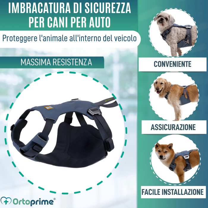 Imbracatura di Sicurezza per Trasporto Canino | Alta Resistenza