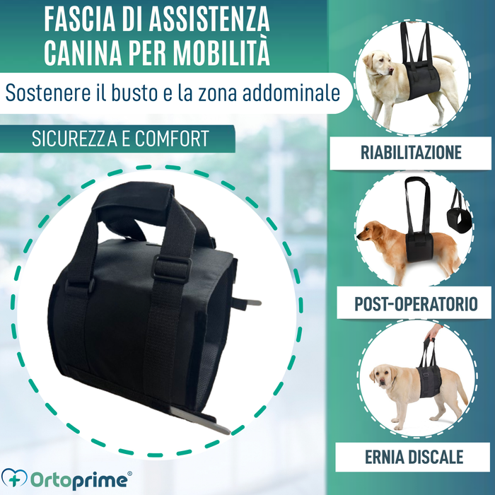 Fascia di Supporto per Cani con Mobilità Ridotta | 5 Taglie
