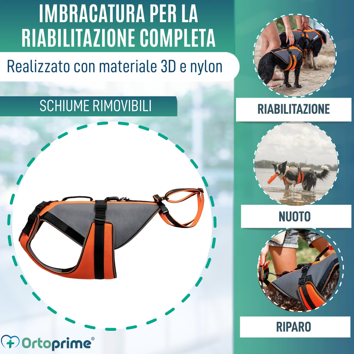 Imbracatura per Riabilitazione Completa per Cani | Materiale 3D