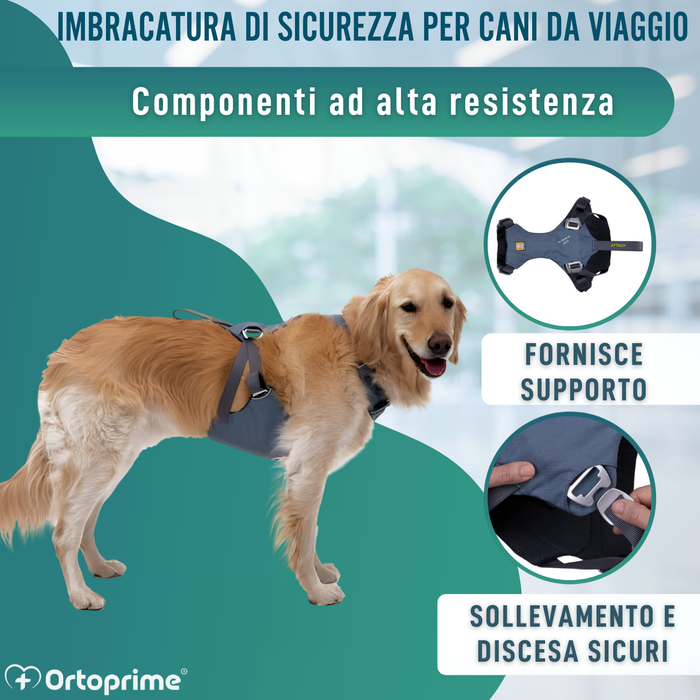 Imbracatura di Sicurezza per Trasporto Canino | Alta Resistenza