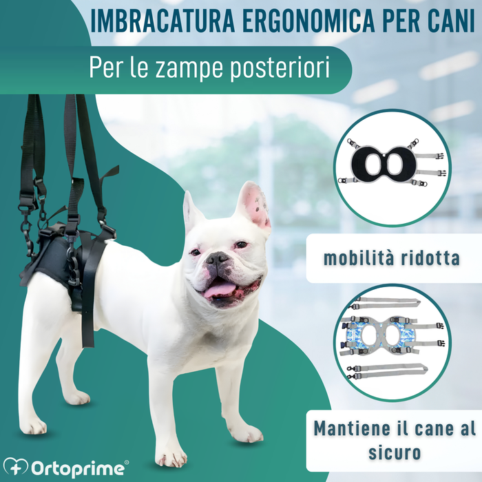 Imbracatura per Cani con Mobilità Ridotta alle Zampe Posteriori