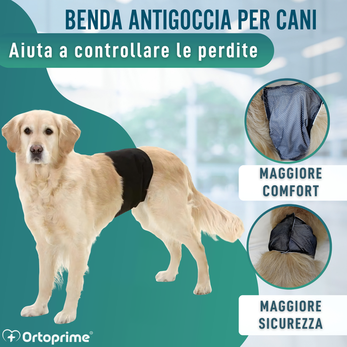 Fascia Antileak per Incontinenza Canina | Cane Maschio