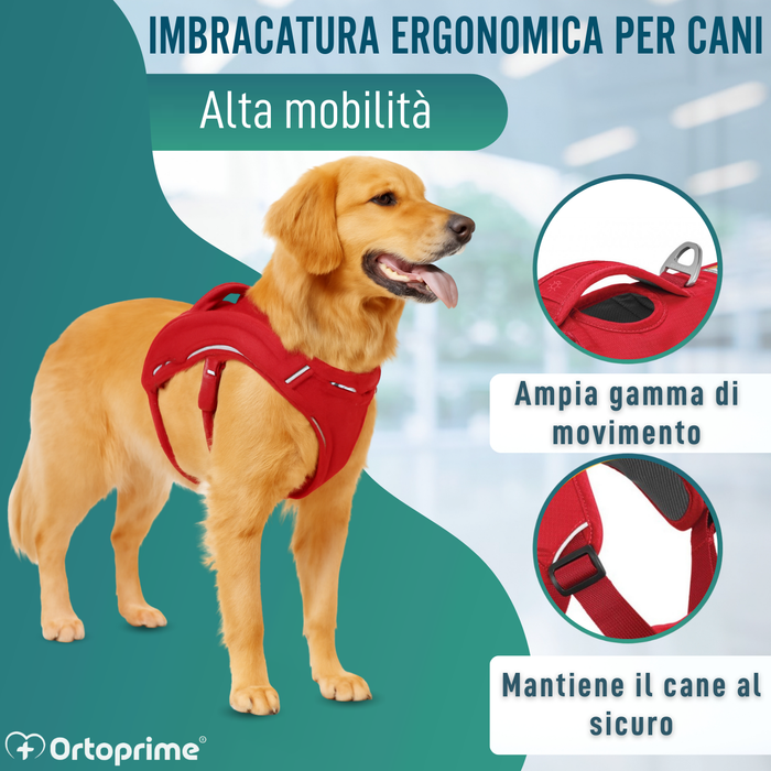 Imbracatura di Supporto per Cani da Servizio | 5 Taglie