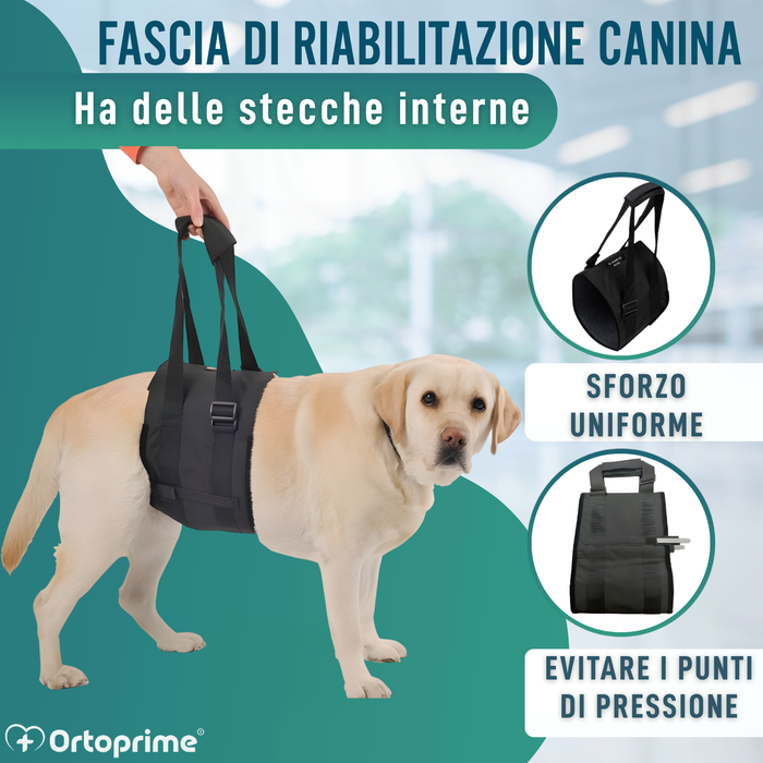 Fascia di Supporto per Cani con Mobilità Ridotta | 5 Taglie