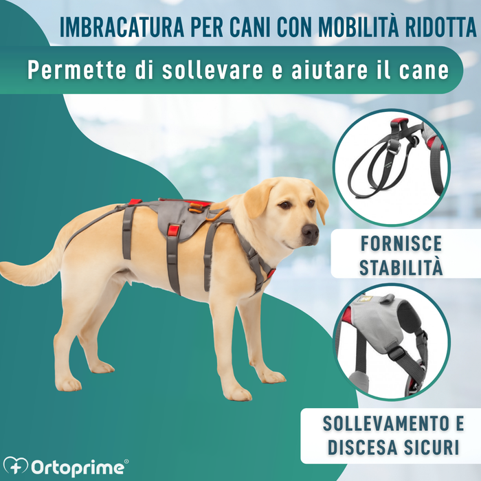 Imbracatura di Supporto per Cani da Alpinismo | Alta Resistenza