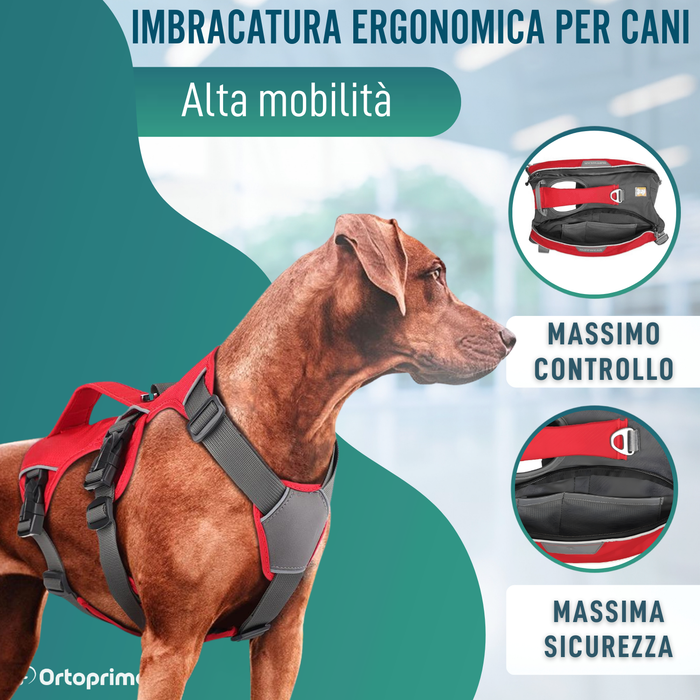 Imbracatura per Cani da Soccorso | Alta Resistenza