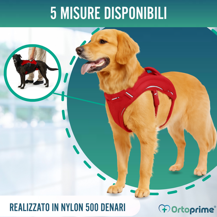 Imbracatura di Supporto per Cani da Servizio | 5 Taglie