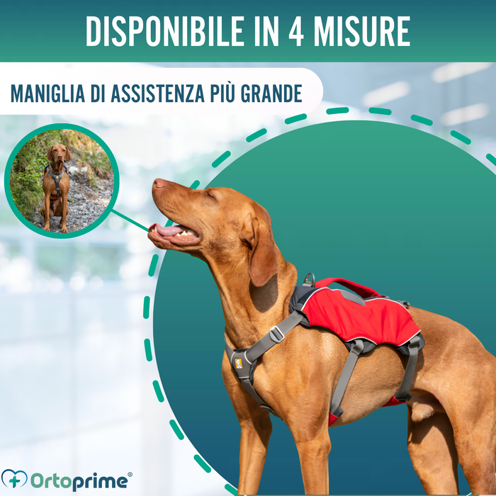 Imbracatura per Cani da Soccorso | Alta Resistenza
