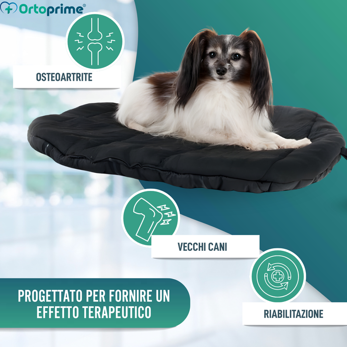 Cuccia Termica per Cani con Artrosi | Tessuto Terapeutico