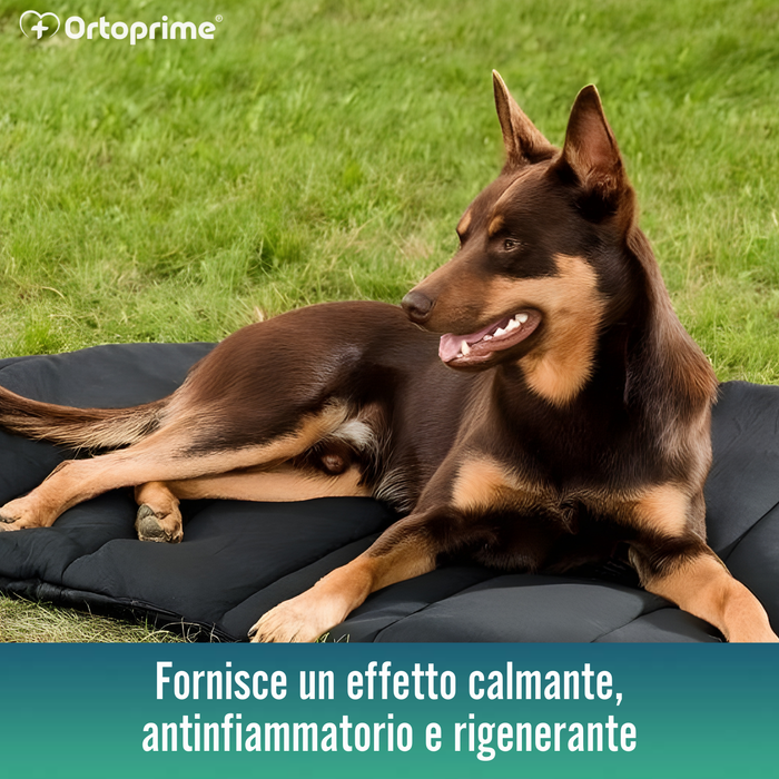 Cuccia Termica per Cani con Artrosi | Tessuto Terapeutico