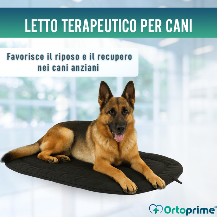 Cuccia Termica per Cani con Artrosi | Tessuto Terapeutico