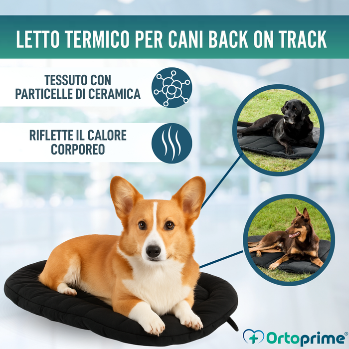 Cuccia Termica per Cani con Artrosi | Tessuto Terapeutico