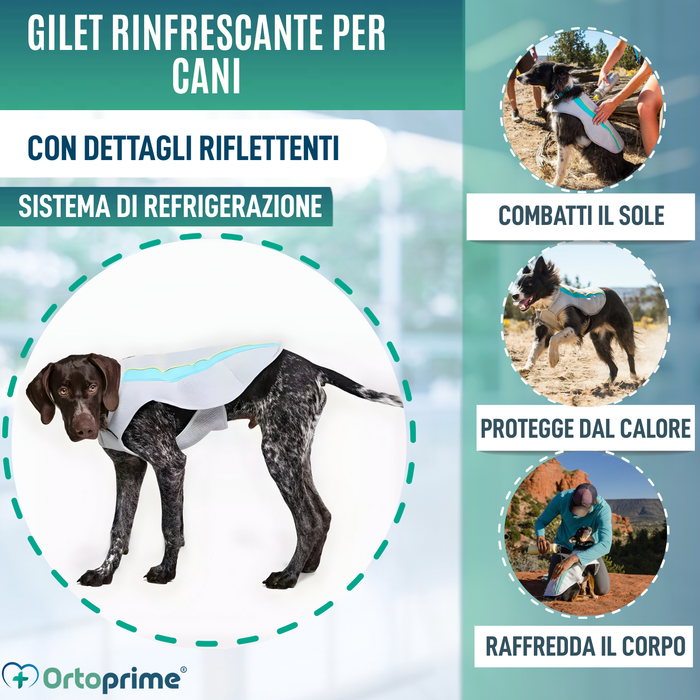 Gilet Estivo per Cani | Raffreddamento per Evaporazione