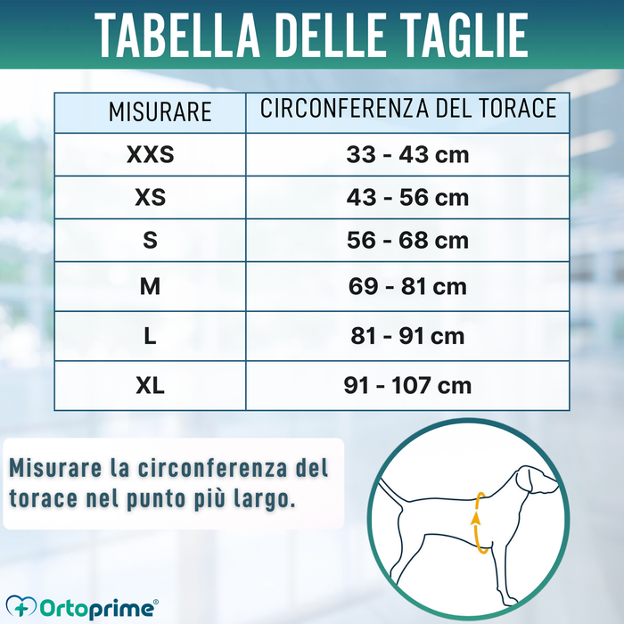 Gilet Estivo per Cani | Raffreddamento per Evaporazione