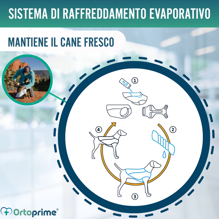 Gilet Estivo per Cani | Raffreddamento per Evaporazione