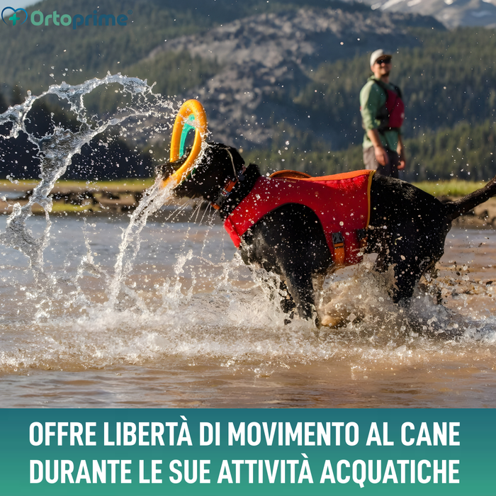 Giubbotto Salvagente per Cani Multiuso | Sicurezza Acquatica