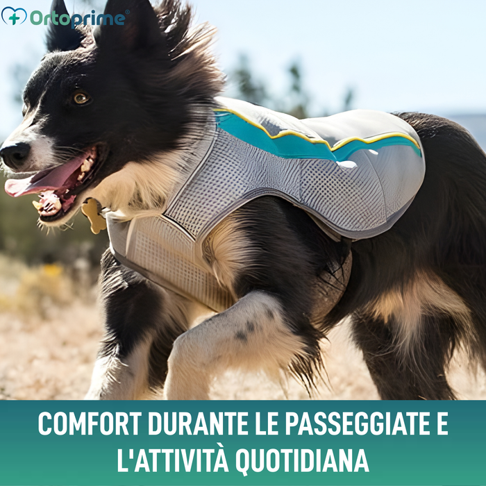 Gilet Estivo per Cani | Raffreddamento per Evaporazione