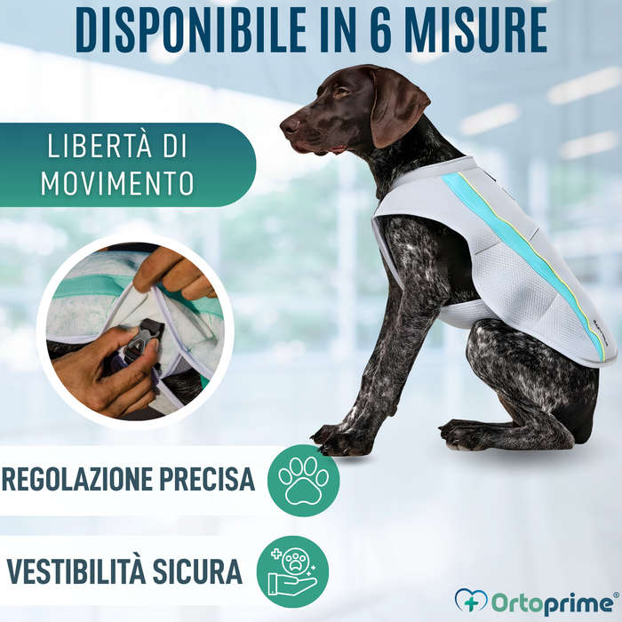 Gilet Estivo per Cani | Raffreddamento per Evaporazione