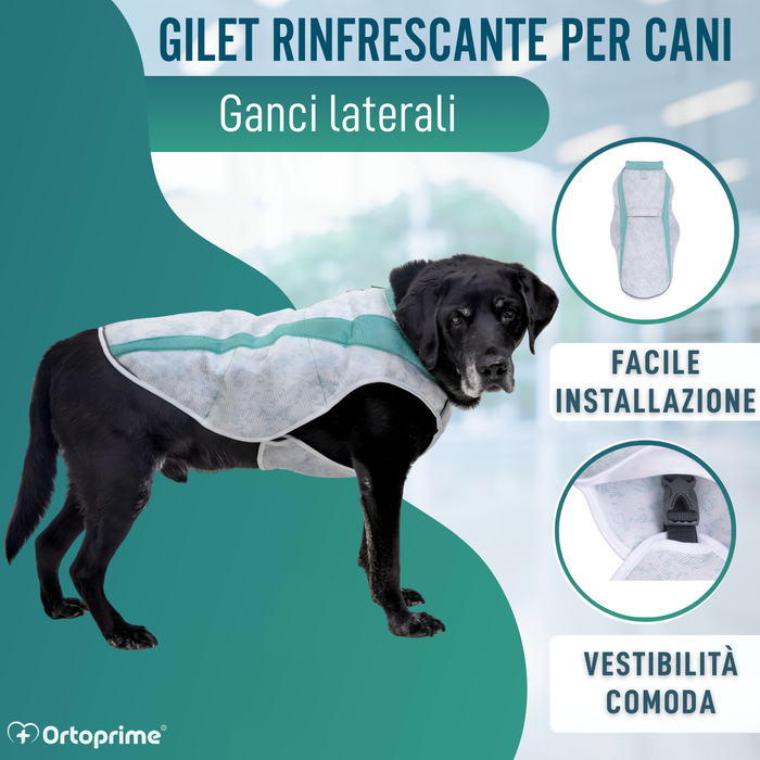 Gilet Estivo per Cani | Raffreddamento per Evaporazione