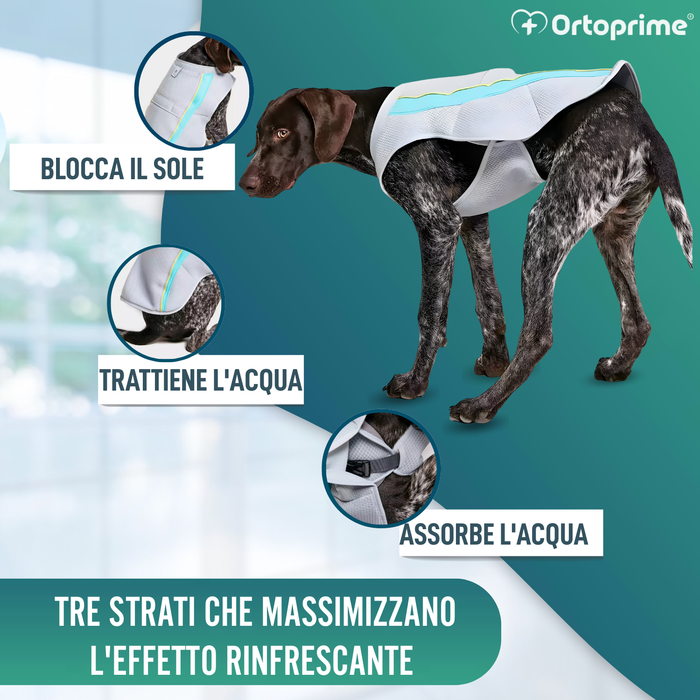 Gilet Estivo per Cani | Raffreddamento per Evaporazione
