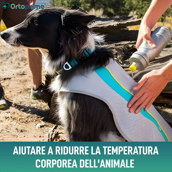 Gilet Estivo per Cani | Raffreddamento per Evaporazione