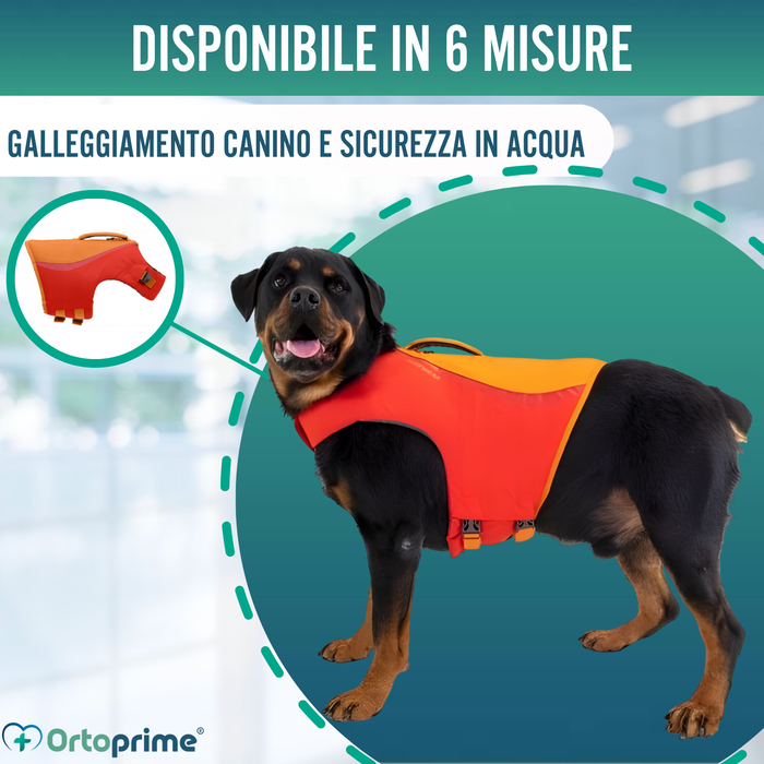 Giubbotto Salvagente per Cani Multiuso | Sicurezza Acquatica