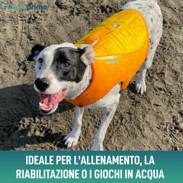 Giubbotto Salvagente per Cani Multiuso | Sicurezza Acquatica