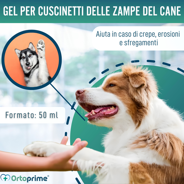 Gel Protettivo per Cuscinetti Cane | Aloe Vera 50 ml