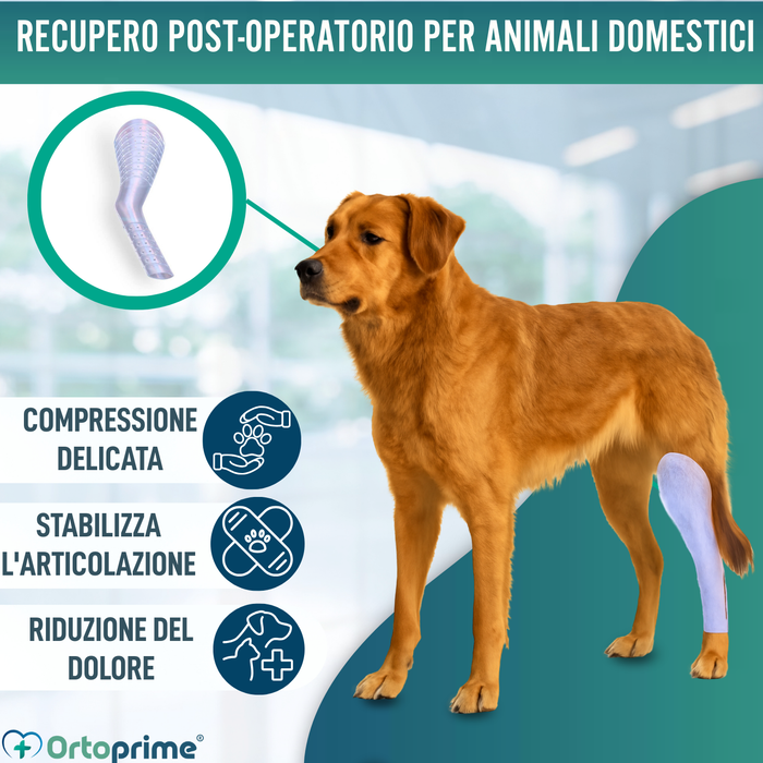 Stecca Rapida per Zampe di Cani e Gatti | 3 Misure