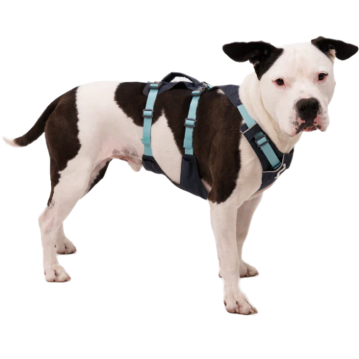 Imbracatura Canina Multiuso per Sollevamento | Struttura Robusta