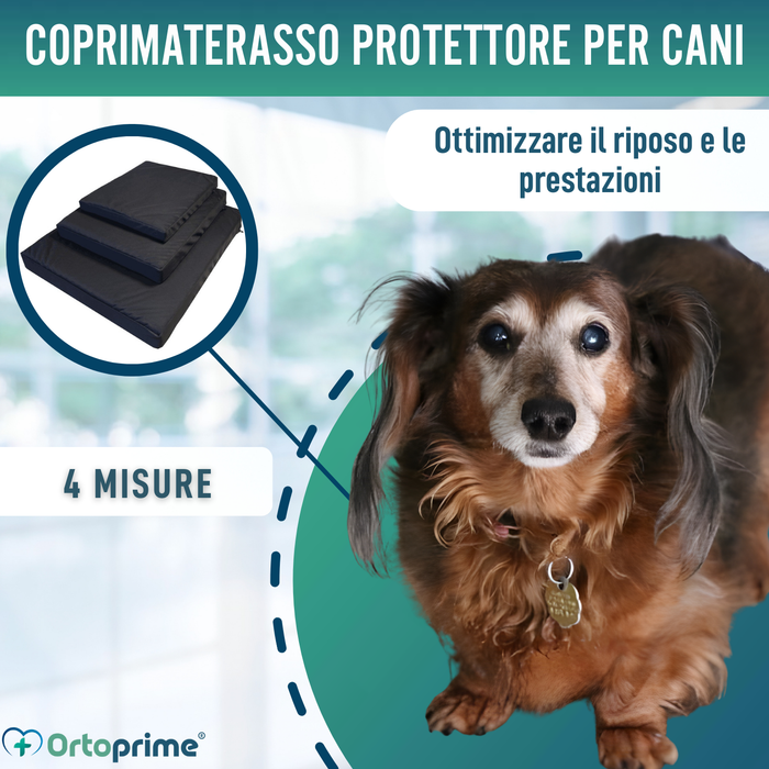 Fodera Impermeabile per Materasso Ortopedico Canino | 4 Misure