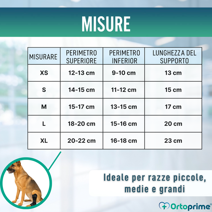 Supporto Tarsale per Cani con Stecche Rimovibili | 2 Pezzi