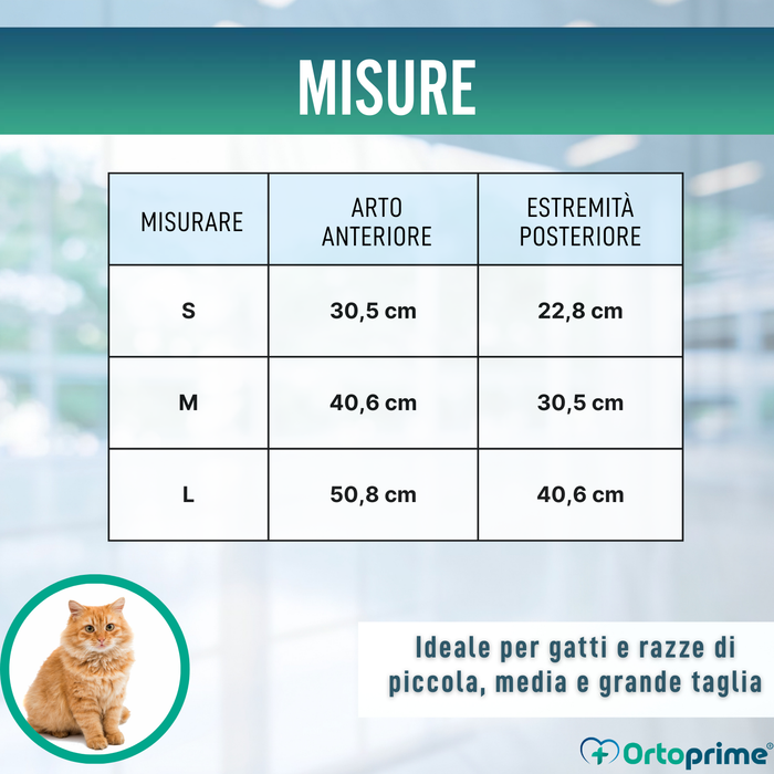 Stecca Rapida per Zampe di Cani e Gatti | 3 Misure