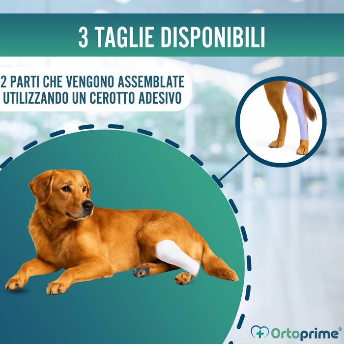 Stecca Rapida per Zampe di Cani e Gatti | 3 Misure