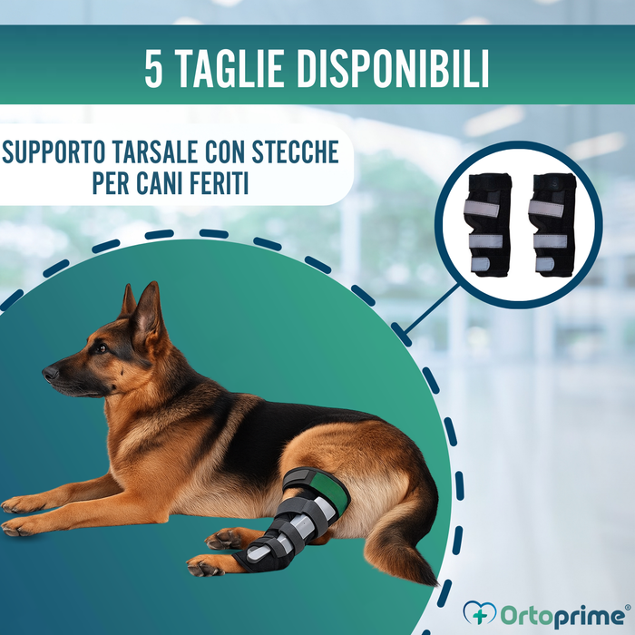 Supporto Tarsale per Cani con Stecche Rimovibili | 2 Pezzi
