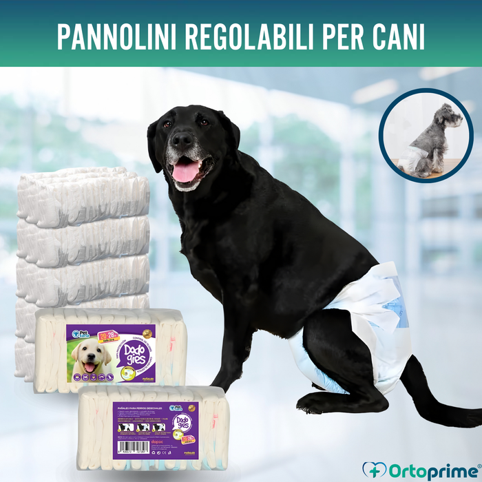 Pannolini per Cani Femmine e Cuccioli | Alta Assorbenza
