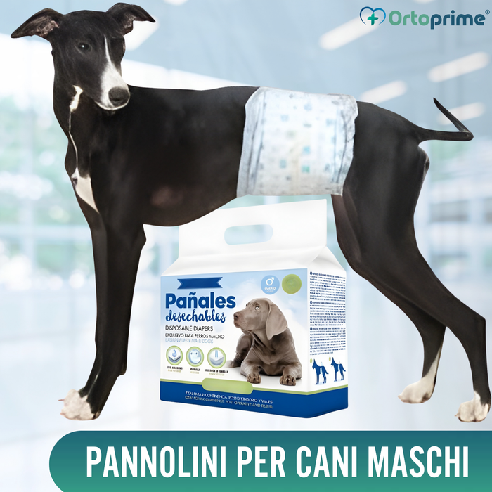 Pannolini per Cane Maschio Ultra Assorbenti | Pack 12