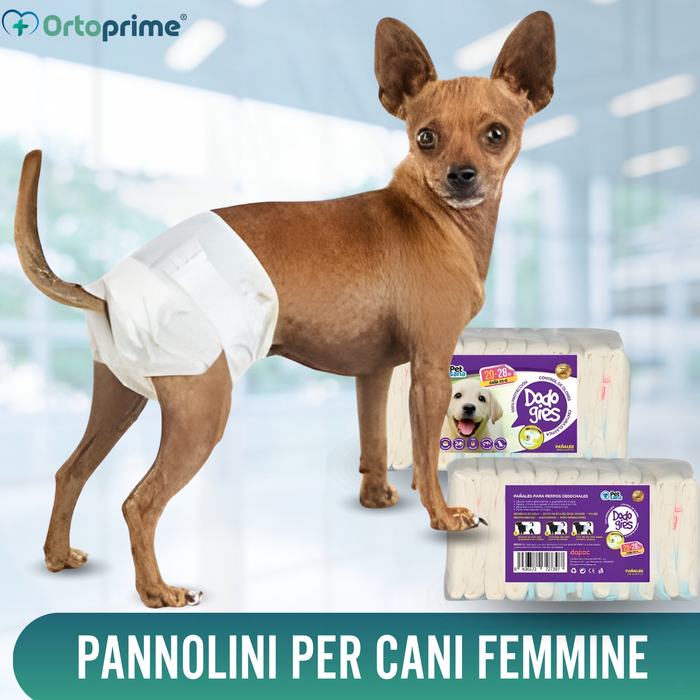 Pannolini per Cani Femmine e Cuccioli | Alta Assorbenza