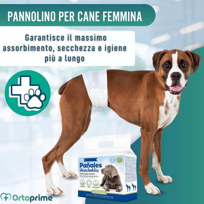 Pannolini per Cane Maschio Ultra Assorbenti | Pack 12