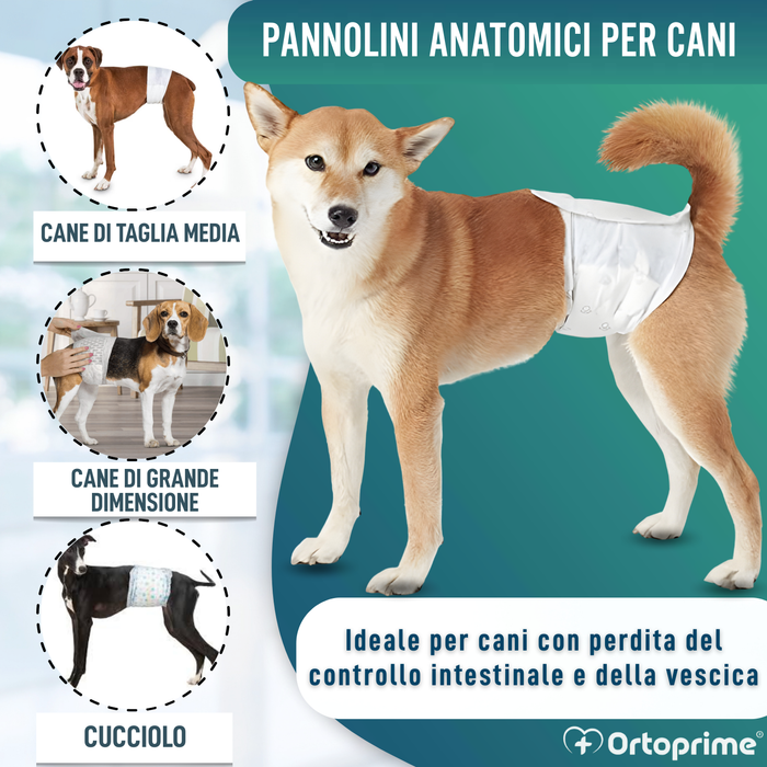 Pannolini per Cane Maschio Ultra Assorbenti | Pack 12