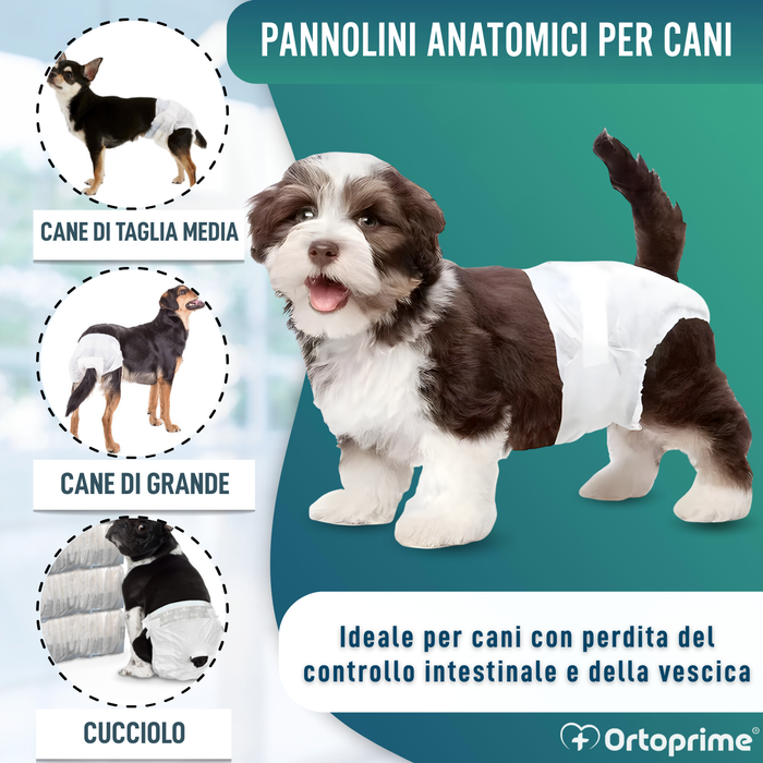 Pannolini per Cani Femmine e Cuccioli | Alta Assorbenza
