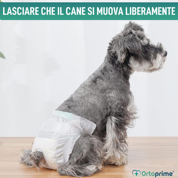 Pannolini per Cani Femmine e Cuccioli | Alta Assorbenza